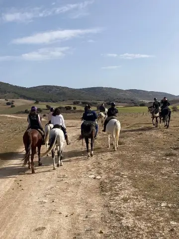 rutas a caballo cuenca imgi 4 caballos 8