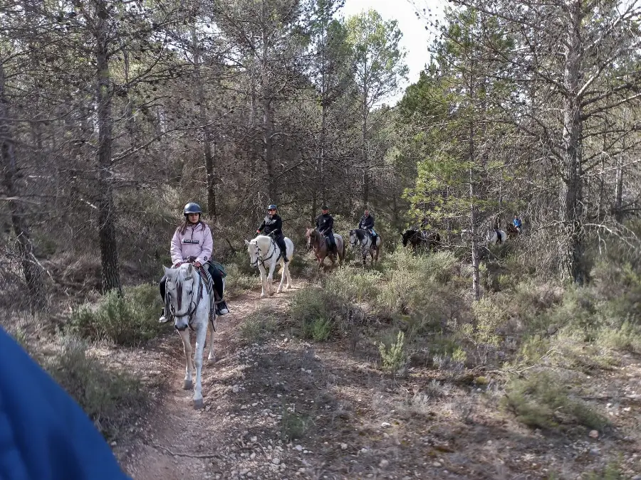 rutas a caballo cuenca imgi 8 caballos 5