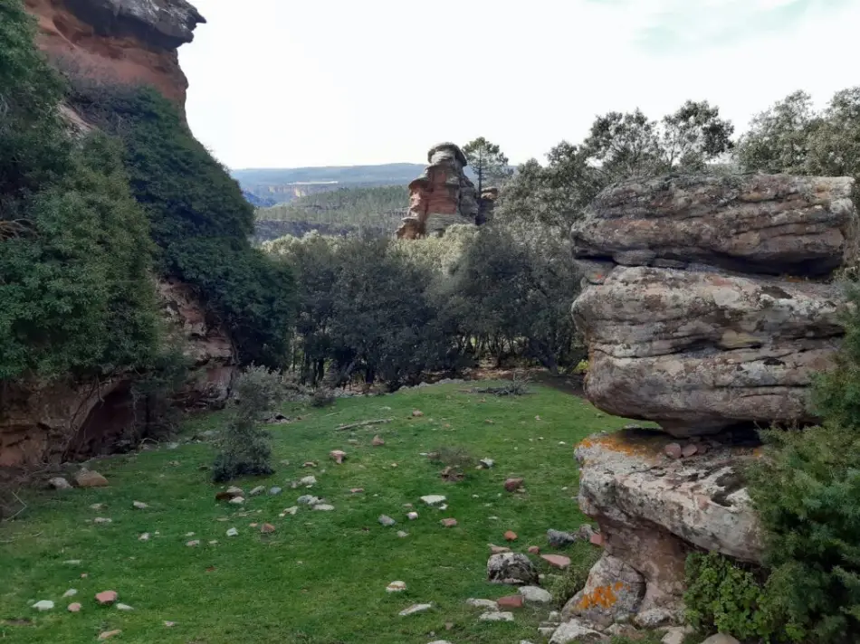 senderismo cuenca pajaroncillo