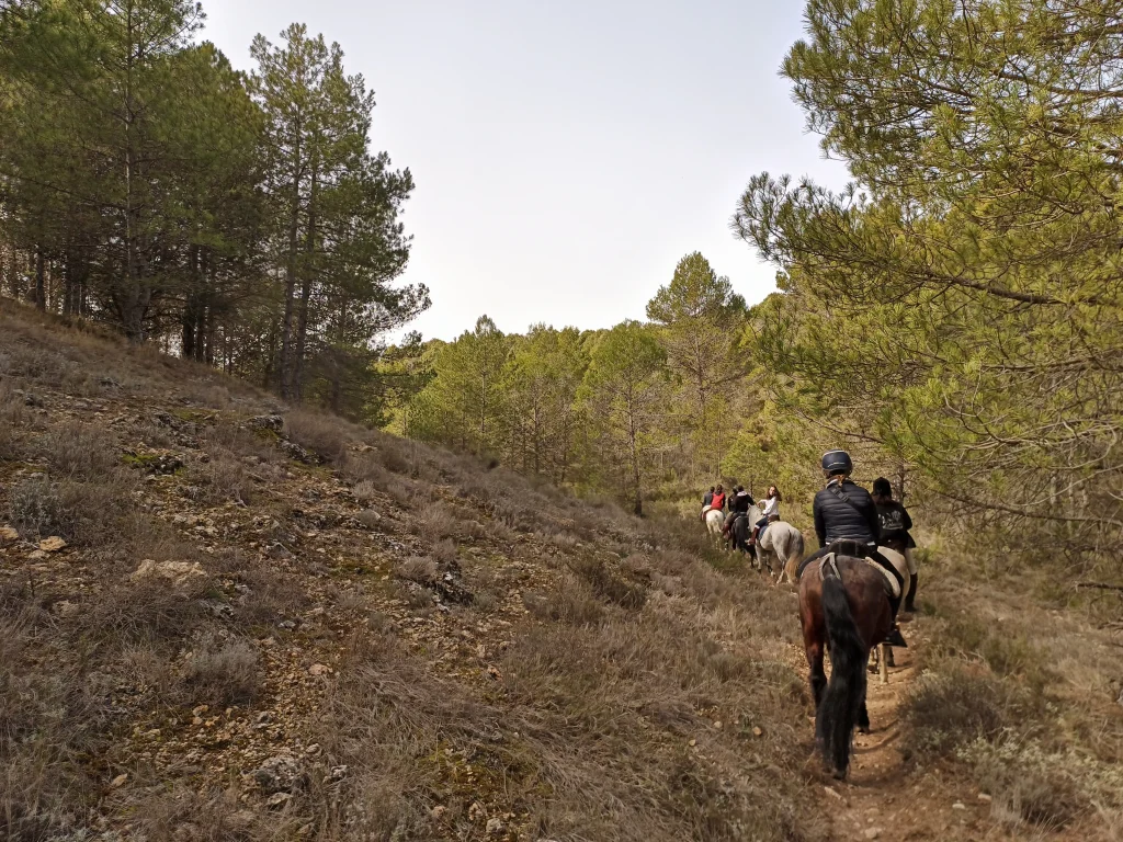panoramica desde las alturas rutas a caballo cuenca scaled
