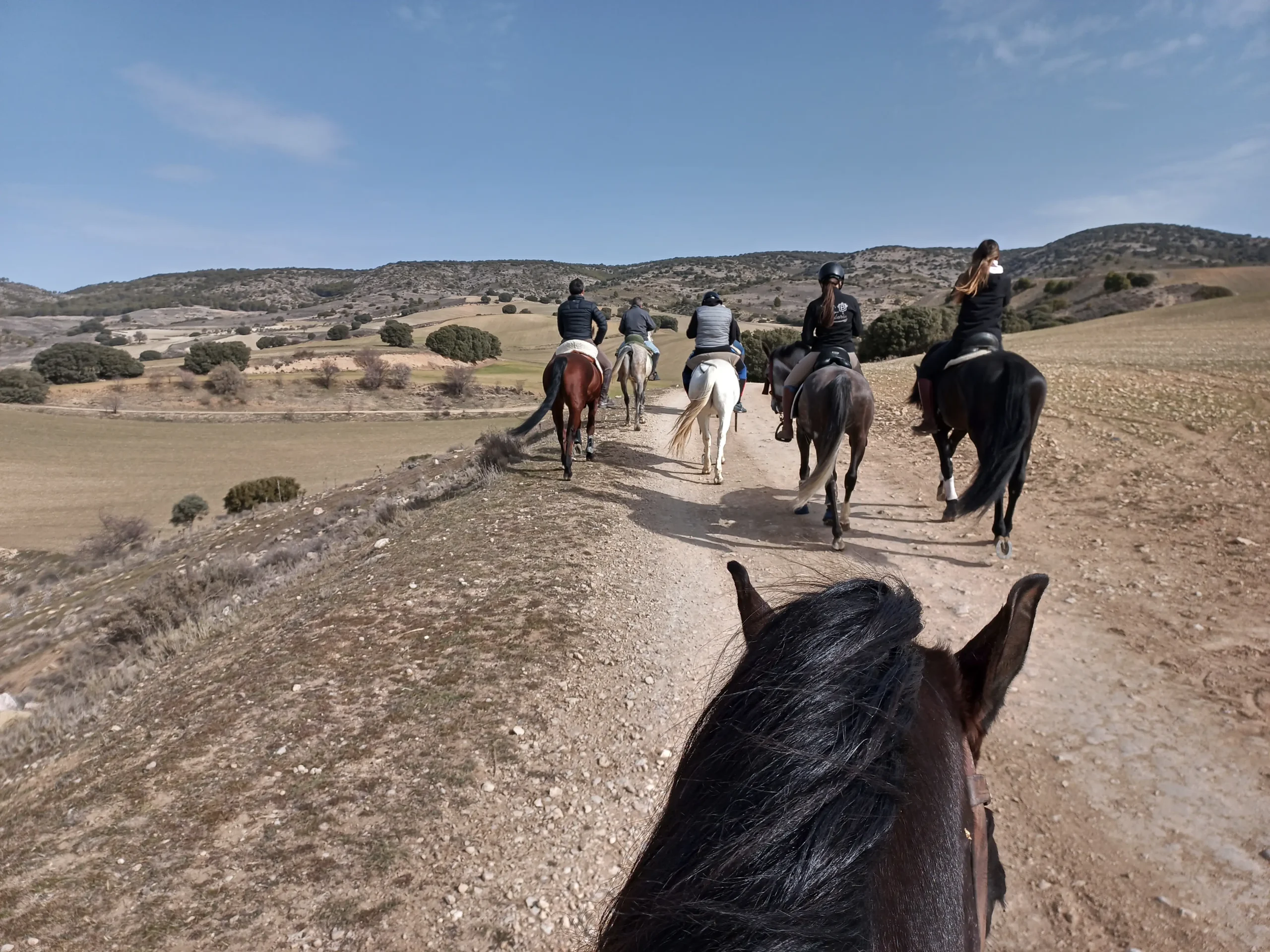 paso a paso por la cresta rutas a caballo cuenca scaled