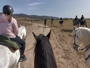 ruta bajo el sol de invierno rutas a caballo cuenca scaled